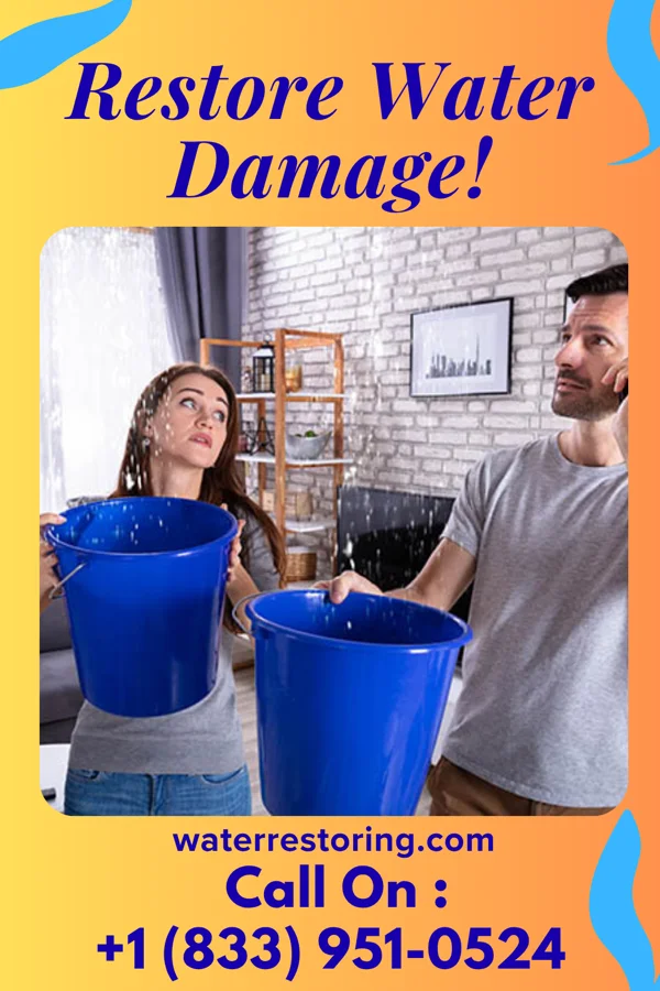 water restoration Eagle Water Mitigation Force Plum